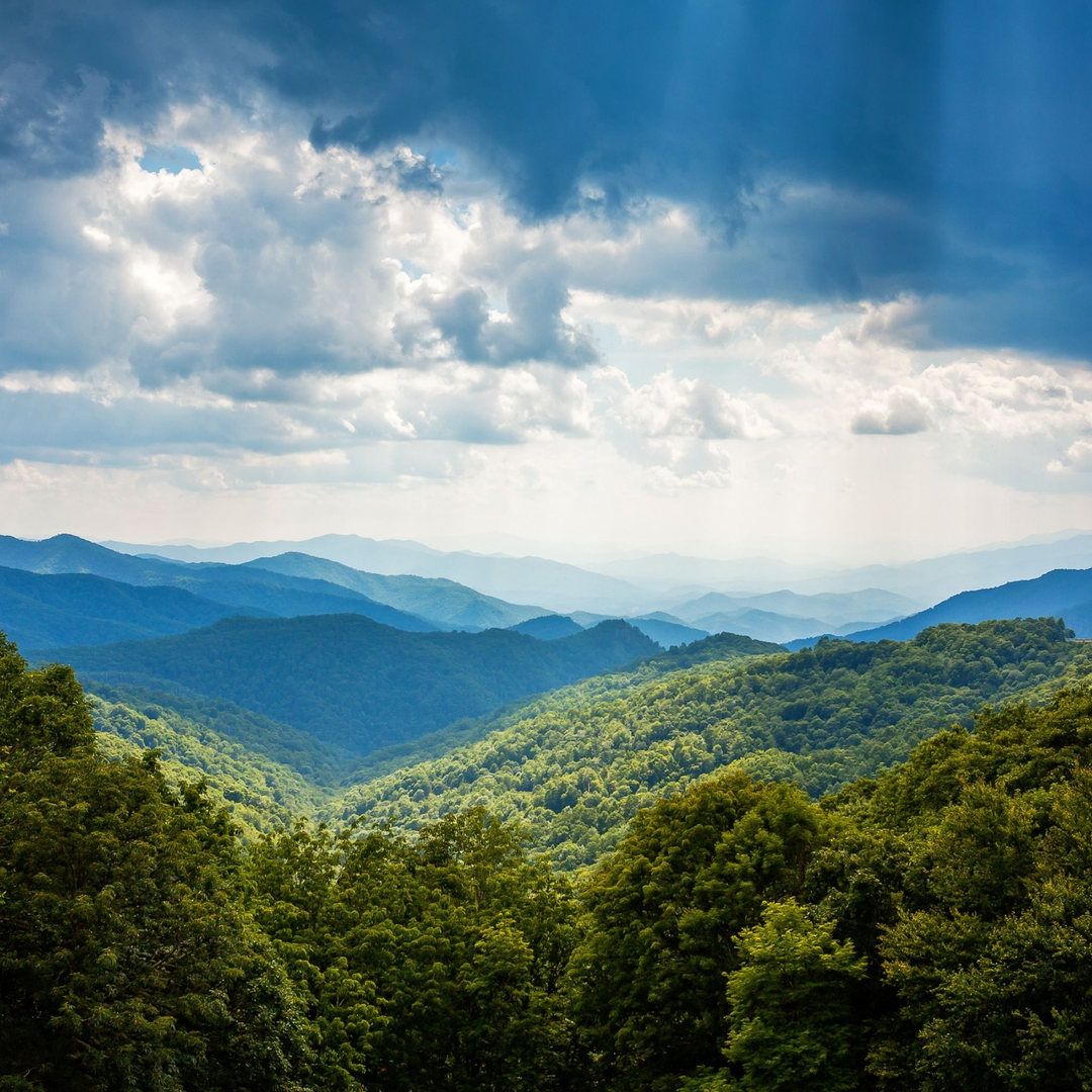 North Carolina