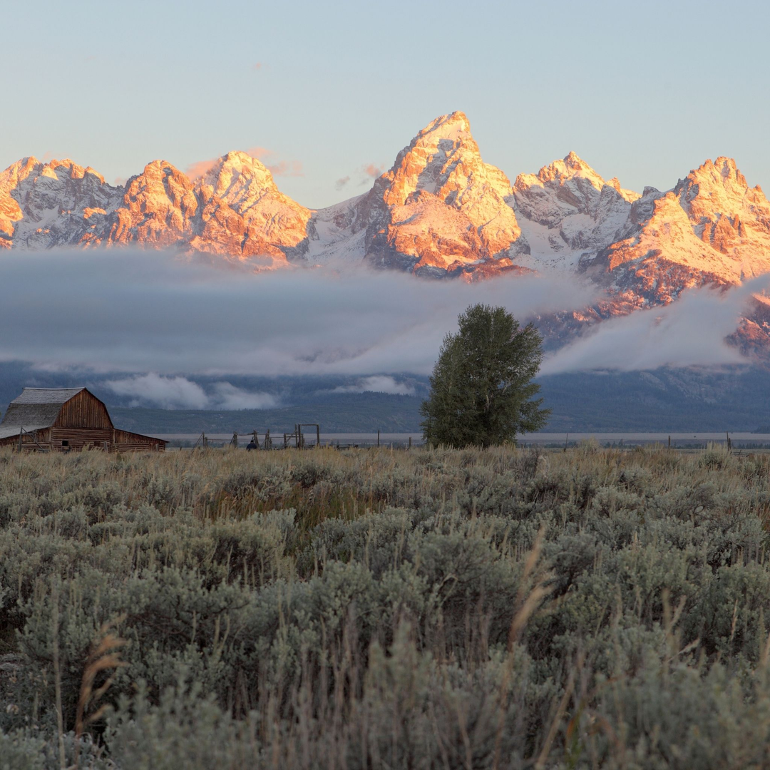 Wyoming