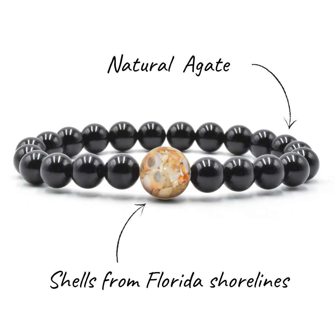 Florida Shells + Black Agate