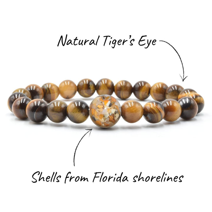 Florida Shells + Tiger's Eye