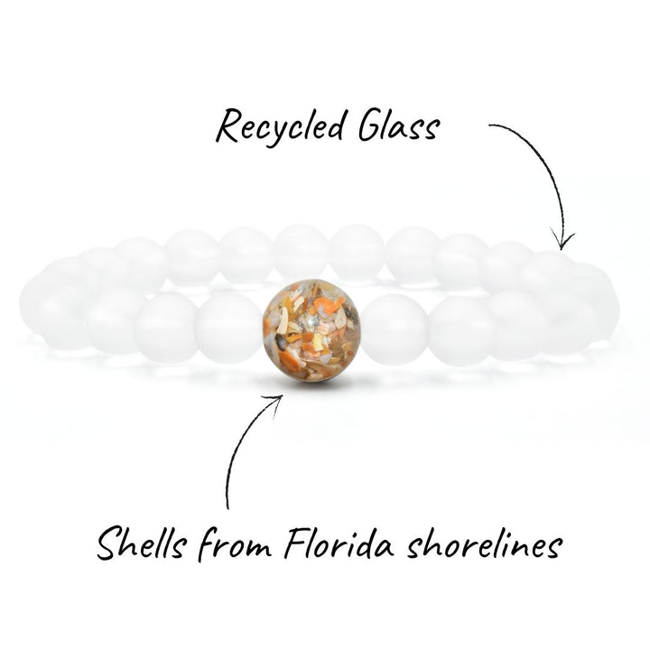 Florida Shells + Crystal Glass