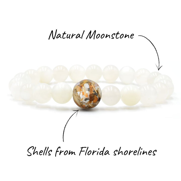 Florida Shells + Moonstone