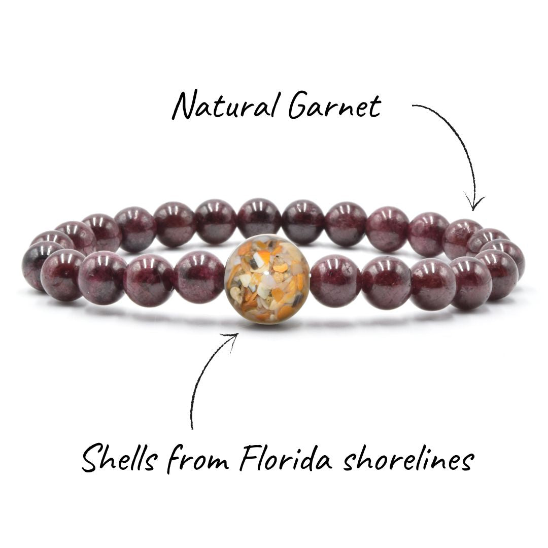 Florida Shells + Garnet