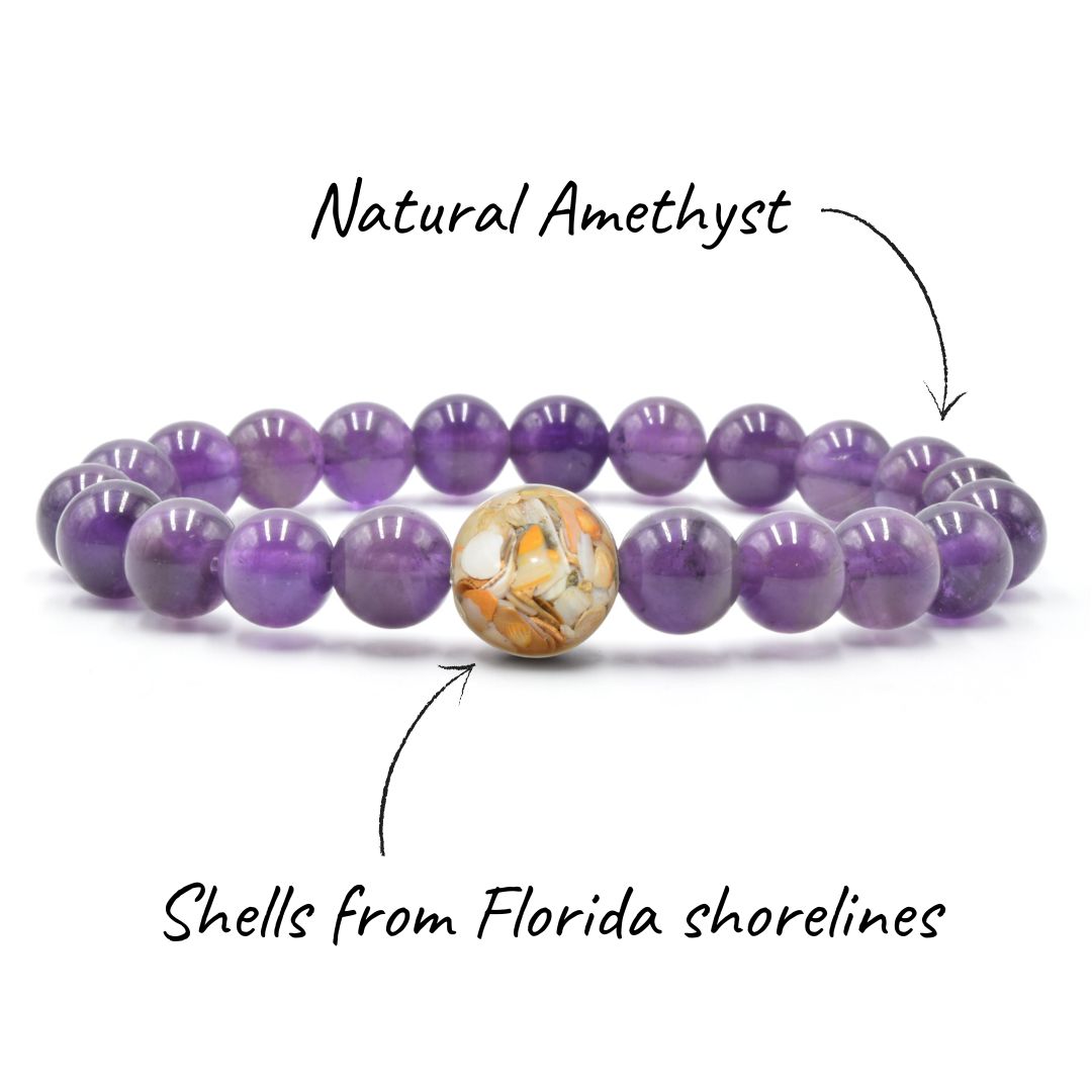 Florida Shells + Amethyst