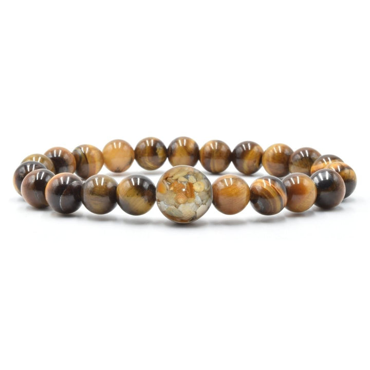 North Carolina Stones & Shells + Tiger's Eye