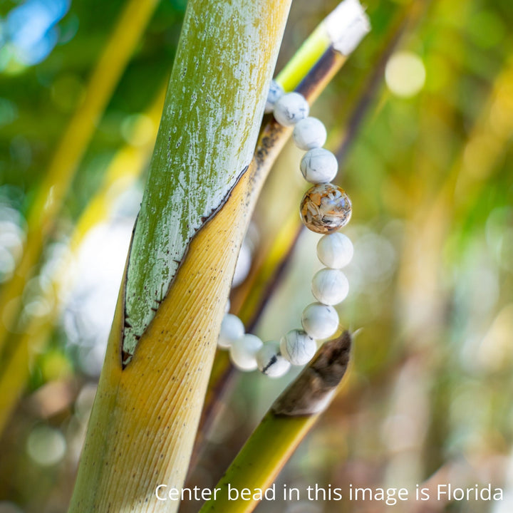 Elk Rapids, MI | White Howlite