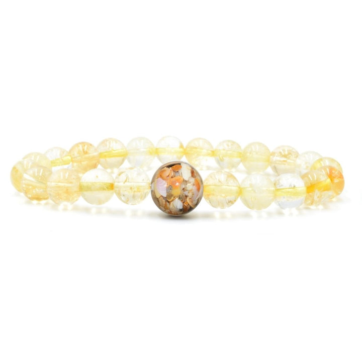 Florida Shells + Citrine