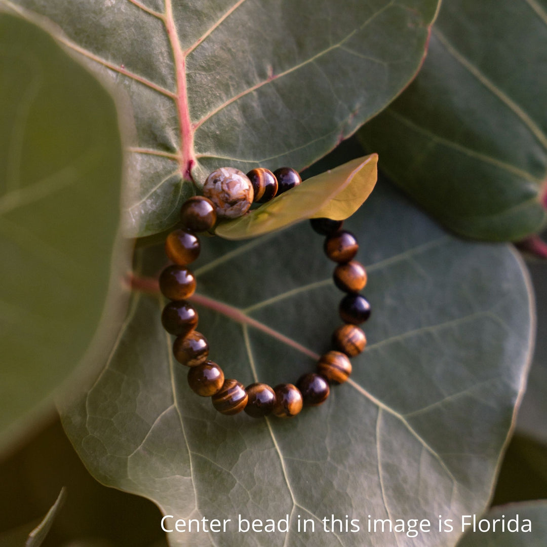 North Carolina Stones & Shells + Tiger's Eye